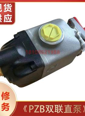 意大利PZB吊车柱塞泵201PE250ZSE/液压泵SLPD-53/53W钩臂油泵现货