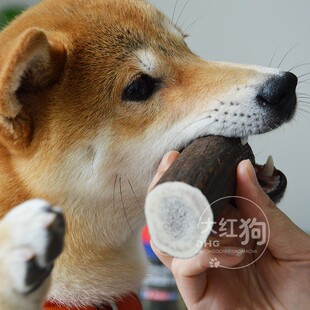 吉辛鹿角棒狗狗磨牙棒大中小型犬耐咬骨柴犬结石除口臭神器洁齿棒