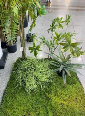 轻奢仿苔植藓坪人造草草坪假绿地造景草坪233050打真底配件青苔物