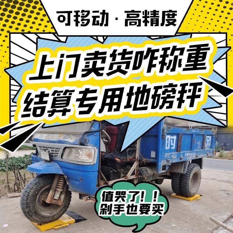 移动地磅秤0吨汽车1称重仪流动分地磅体三轮车收粮PSD-WD23卖煤子