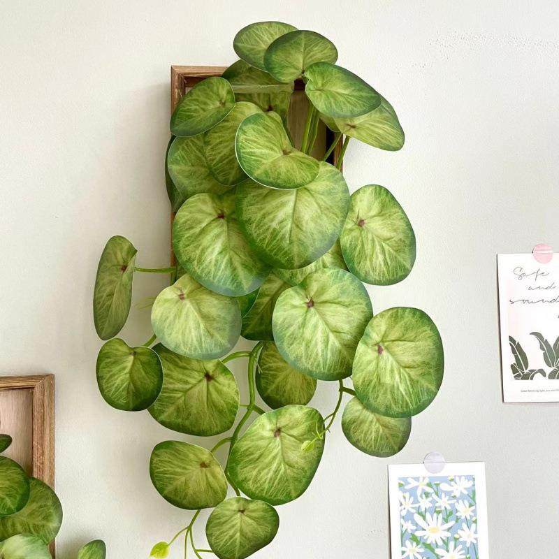 玄关新款室外家居招财网红isn真植绿壁挂相7aTuFFC/框手感文艺侘,鲜花速递/花卉仿真/绿植园艺,仿真绿植,淘宝优惠券,粉丝福利购,淘宝优惠卷