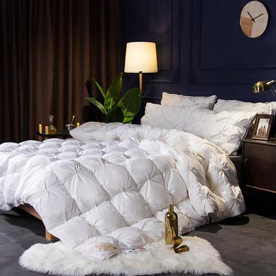 全棉羽丝绒16600-88被暖芯子全棉扭被花羽丝棉被加保厚冬被微商