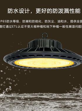 大棚蔬菜植植全种光谱物生长灯照明西红柿农叶菜火龙果用RGP补光