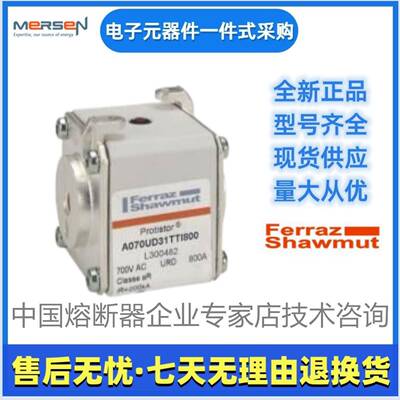 Ferraz罗兰熔断器PC31UD69V160TFM300299美尔森Mersen