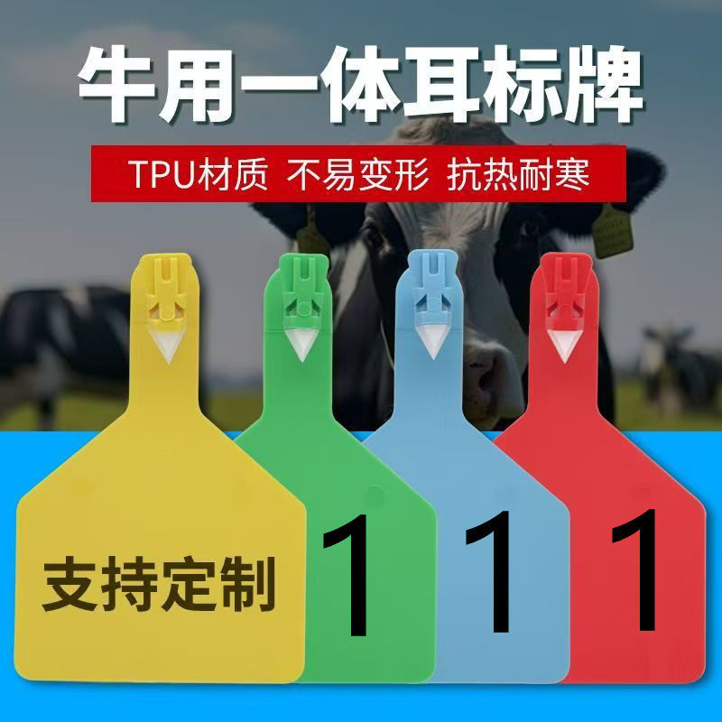 牛耳标一体式奶牛识别牌耳号牌连体耳标单片式牛耳标大号牛耳牌