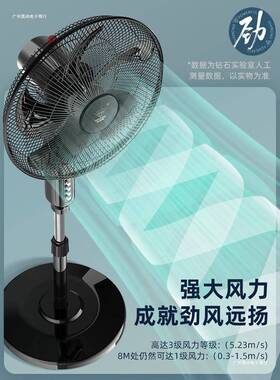 钻石牌电风扇2025新款家用落地扇大风力台立式遥控宿舍轻音电扇BY