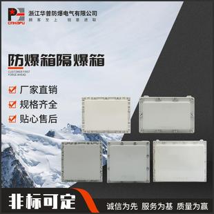 135x135x90防爆箱BDM 增安箱防爆接线配电箱正压柜增安箱