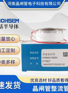 TECHSEM湖北台基可控硅Y89KKG3000A2500V3000V中频炉快速晶闸管
