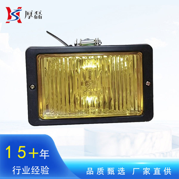 现货重汽豪沃配件 斯太尔王前雾灯金王子前雾灯WG9200720038/1