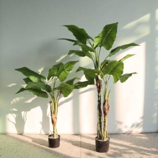 绿植喜林芋春芋室内外假树落地盆栽软装设计造景摆件盆景真