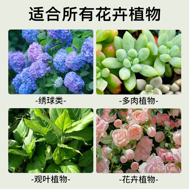 兰花松针土松树叶腐叶腐熟松针多肉君子兰专用天然营养腐殖土花土