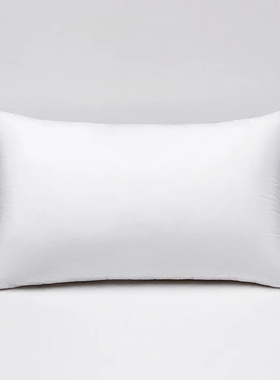 舒适枕芯40x60/65/30x50/35x55小号婴儿儿童宝宝学生宿舍枕头单只