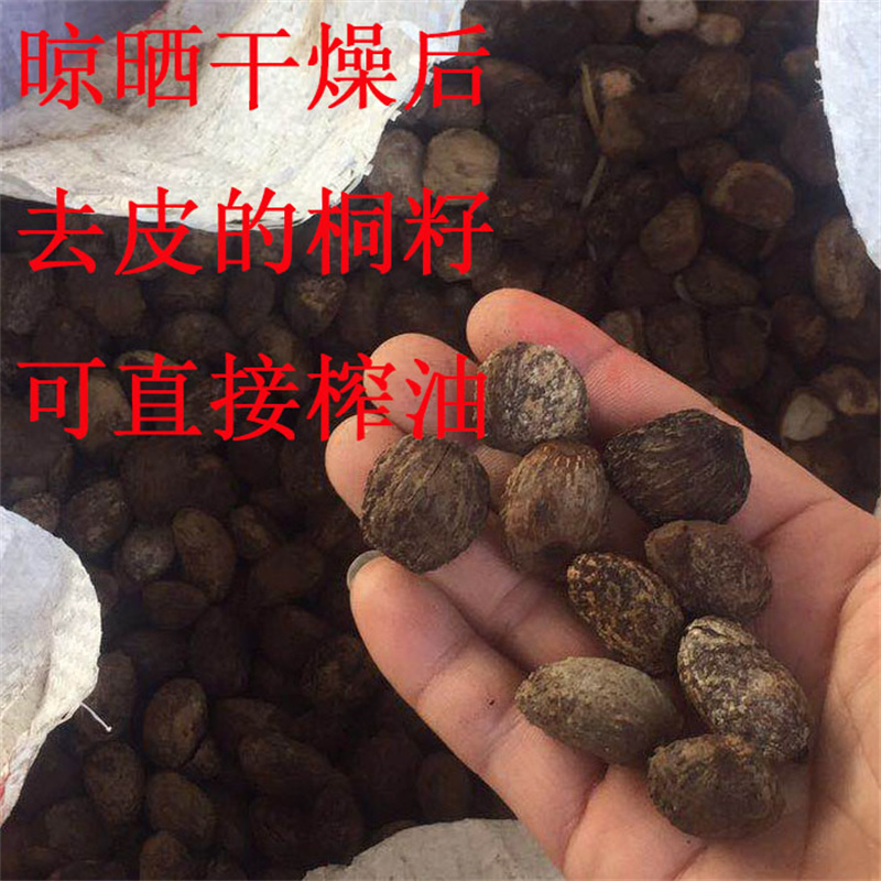 熟桐油木用防水防腐防开裂木器漆桐油天然油漆替代木油木蜡油清漆