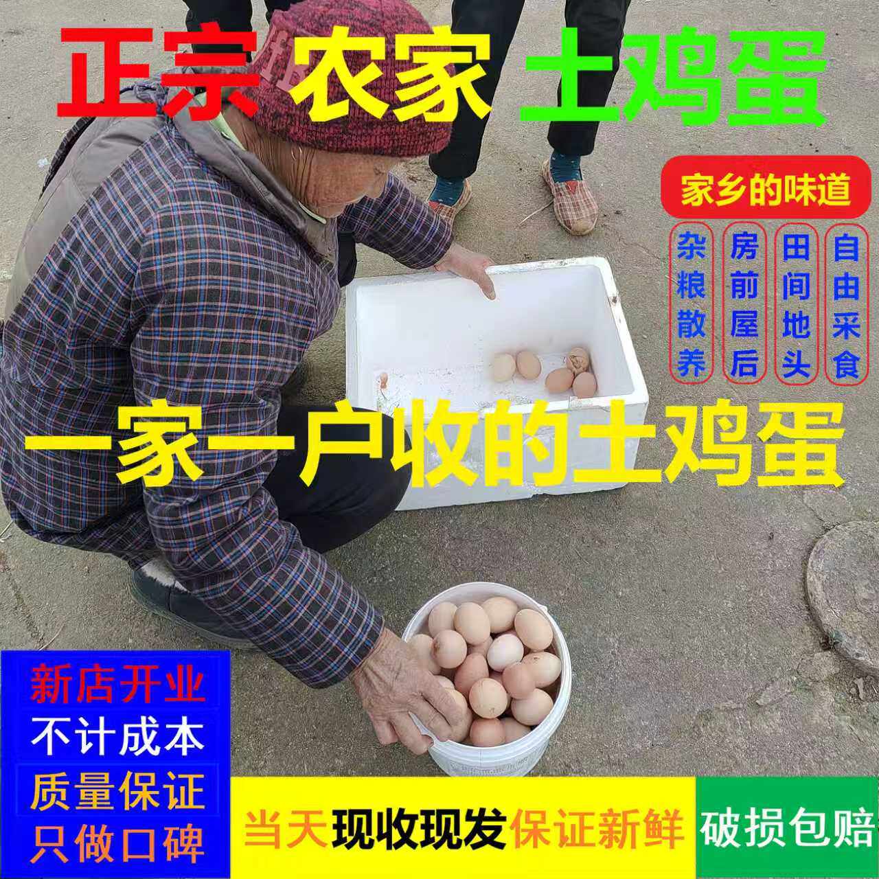 农村挨家挨户收购正宗散养土鸡蛋