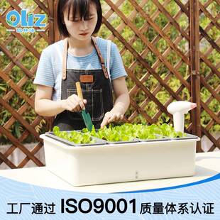 阳蔬园菜种植塑料台花盆庭院养SC03花种菜菜长方形加厚种菜盆托盘