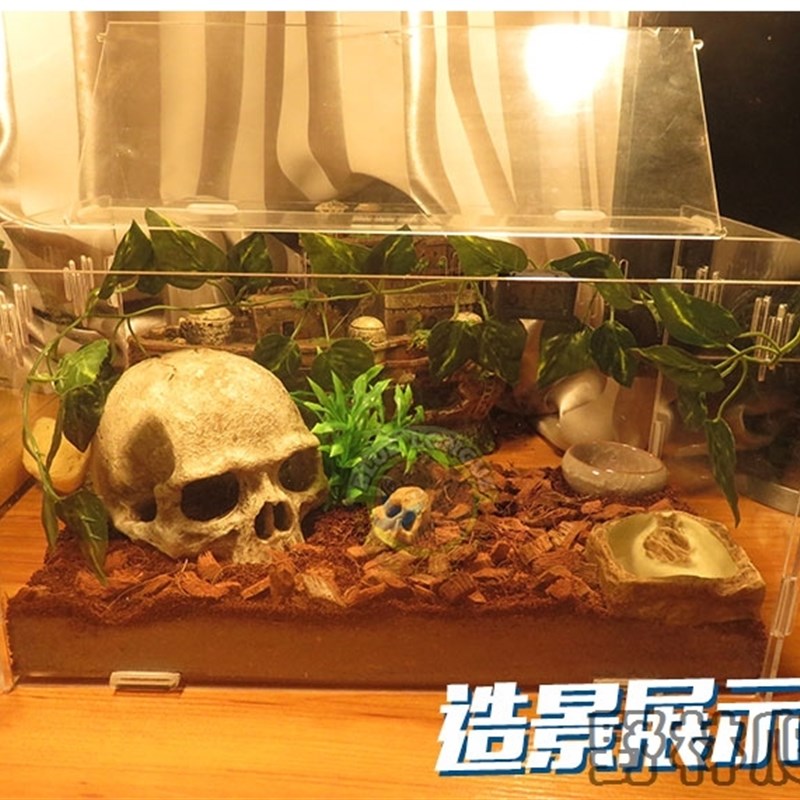 爬宠躲避窝蜥蜴躲避蜘蛛躲避洞守宫躲避屋玉米蛇躲避窝爬宠箱造景