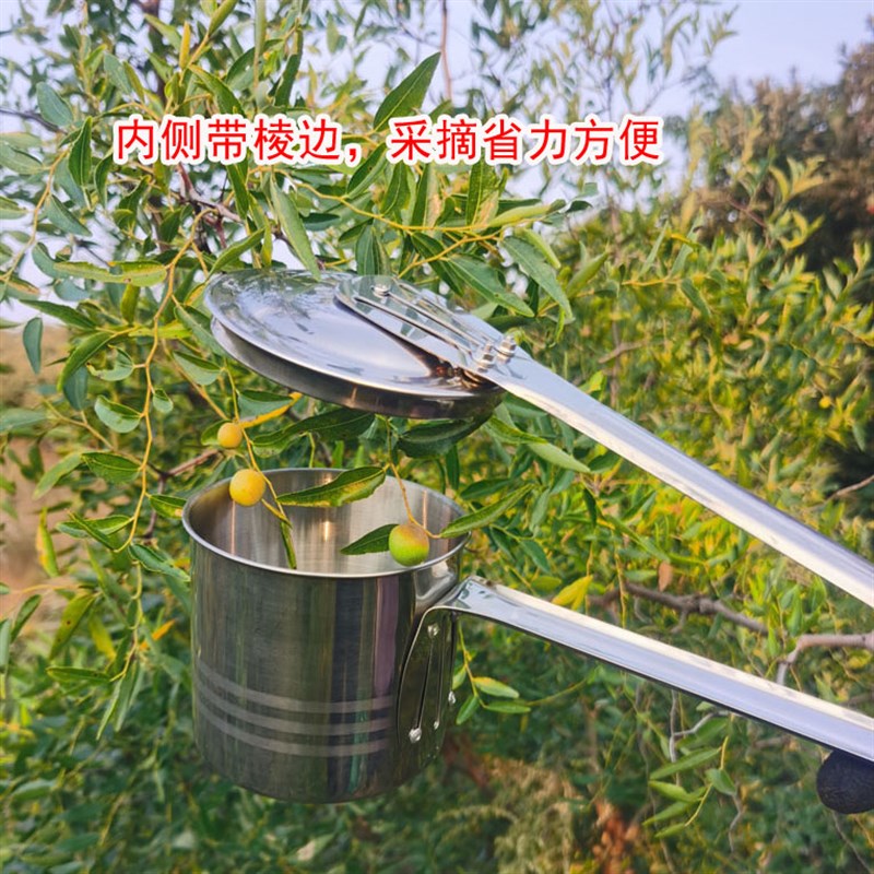 加厚不锈钢采摘酸枣神器不锈钢带边沿摘小果山枣小枣花椒等工具