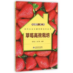库存九成新科技惠农一号工程 草莓高效栽培 9787533180027 雷世俊赵兰英 山东科学技术出版社