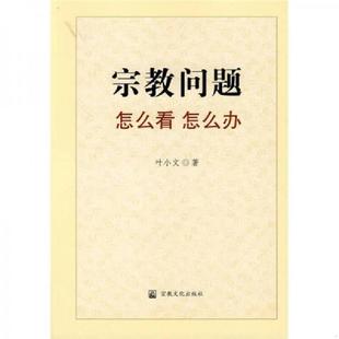 库存九成新宗教问题怎么看怎么办 9787801238719 叶小文著 宗教文化出版社