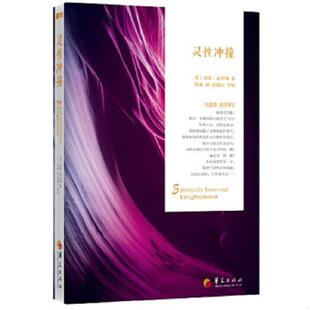 库存九成新灵性冲撞 9787508081137 杰德·麦肯纳 华夏出版社