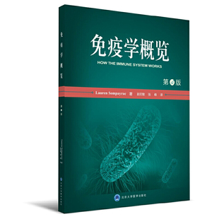 库存九成新免疫学概览（第4版） 9787565913150 （美）松佩拉克原著,赵欣敏等译 北京大学医学出版社有限公司