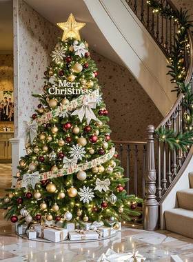 圣诞摆树家用大型高级感诞节装74SD=ZH0饰20圣25新款厅diy件场景
