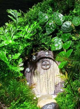 藓微景成观生态雨林缸造景办公桌面物盆景品室内小植OPG盆苔栽