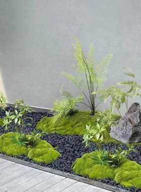 时尚绿仿真苔藓室内软装组微景观套装橱窗合过道青苔植tb-71453造