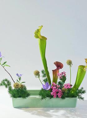 长小方形AOO陶瓷花盘花器中日式插花器皿写排列景自由式花原流花