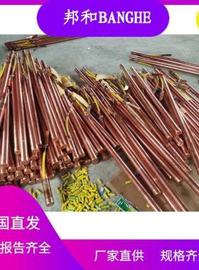 电解离子接离地极离子接地棒接地体防腐子地极φ50*030BGL接0