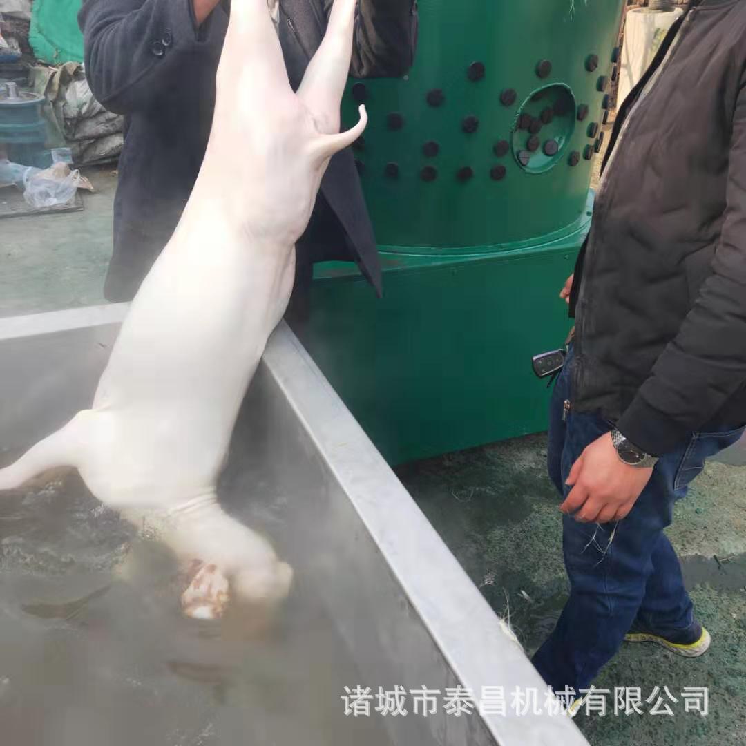 绵112脱毛机羊狗褪羊羊毛机羊毛设备圆筒羊去毛机器拔屠宰杀打毛