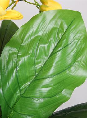 仿真仿真树落花花地高摆件装饰真植物仿室内大型盆栽客厅假造NDY