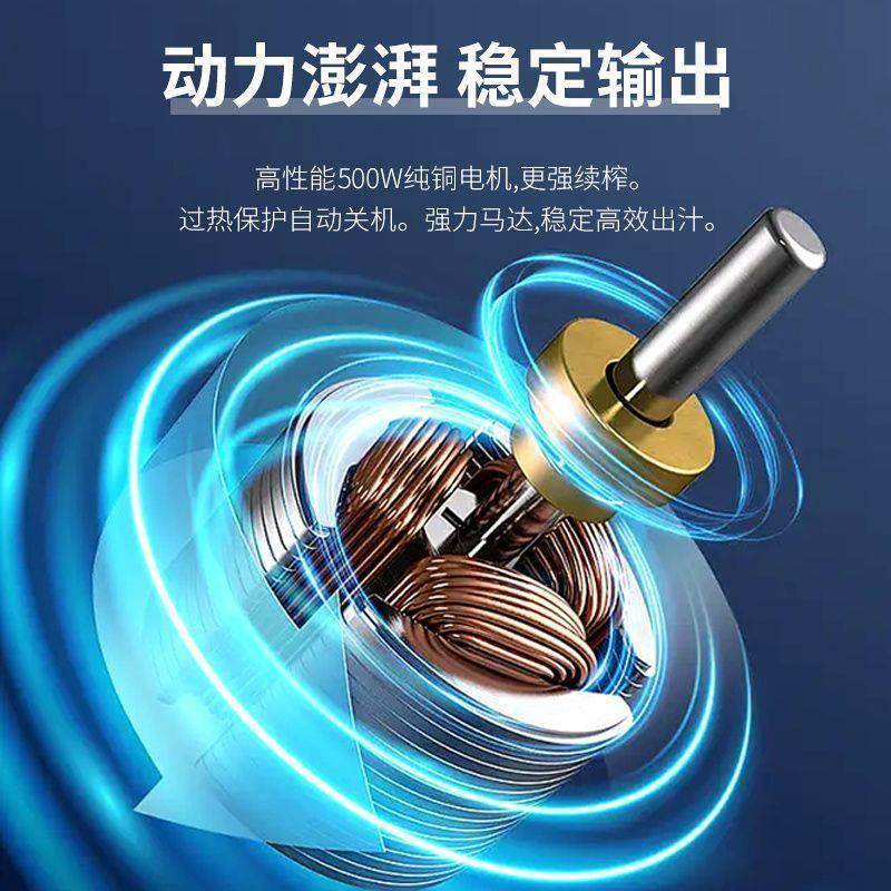 分功离多能全自动家LBP用渣冰淇淋径原汁机商用榨汁机大口炸汁果