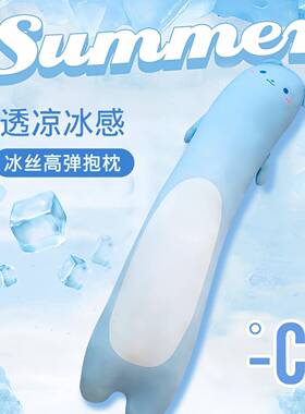 清夏季凉感冰丝透气女长条42129抱枕可拆洗生睡觉卧室床上侧睡腿