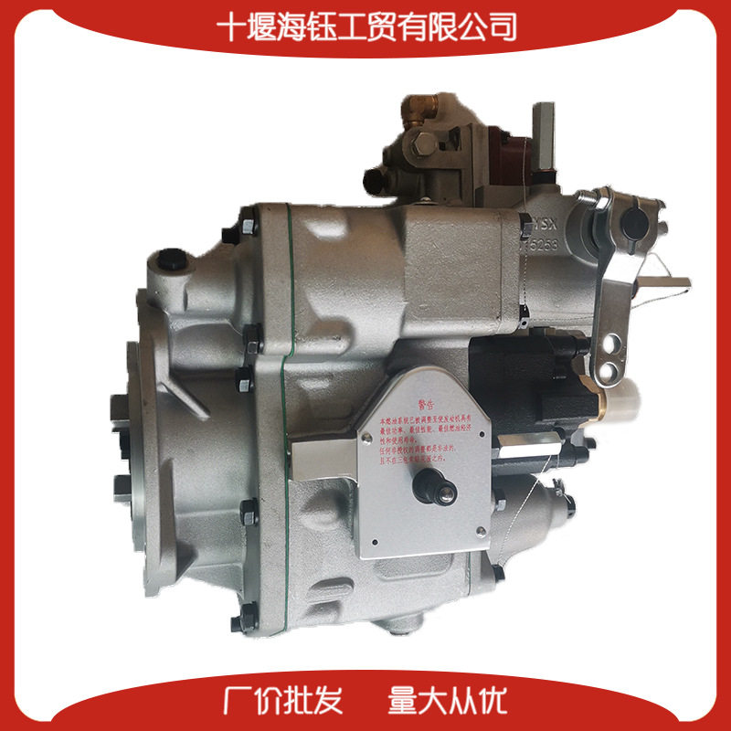 重庆康明斯柴油发动机配件NT855燃油喷射泵总成4951451 3059657