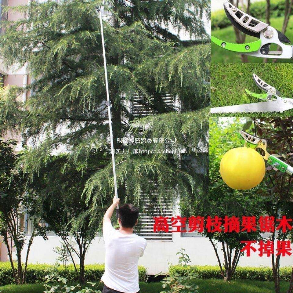 摘果剪杷高枝剪摘果高APZ空剪伸缩高空锯摘果器龙钱眼榆剪剪枇剪