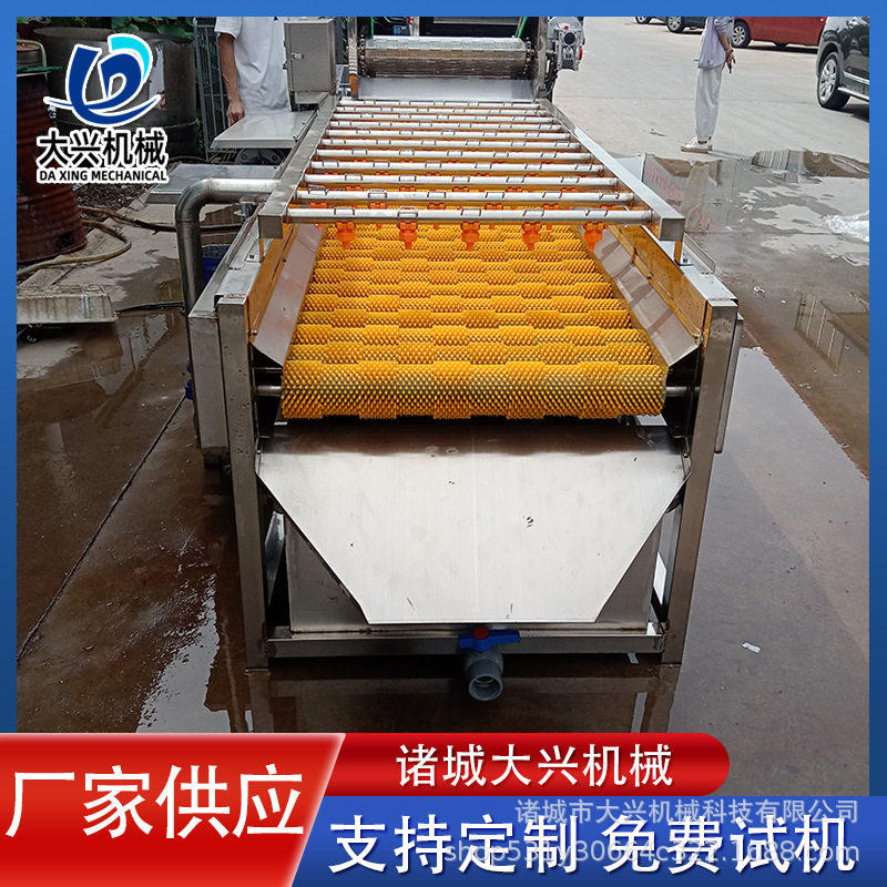 连续式平行毛辊清洗机 海虹蛤蜊清洗机 海蛎子高压喷淋清洗设备