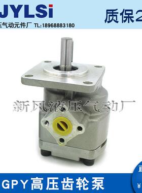 高压齿轮泵GY-NWN2R3R/4R/.8R/7R/85R//9R/10PR/11.5R/12RGPY-6RX
