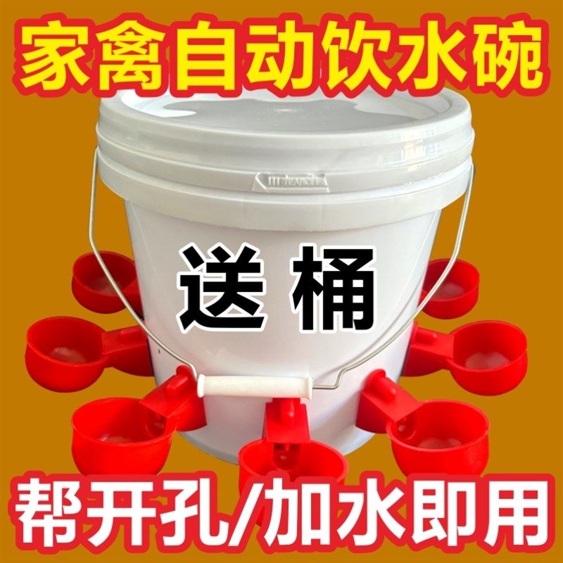 鸡用自动饮水器鸭鹅鸽子鹌鹑桶装喝水碗雏鸡饮水碗全自动新款水碗,畜牧/养殖物资,养殖用具,淘宝优惠券,粉丝福利购,淘宝优惠卷