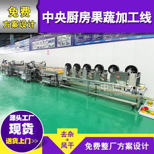 大型地皮菜清洗机 刺五加炒水线 包装山野菜全套设备现货供应