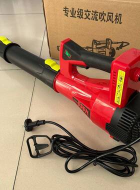 4500W22用尘0VLNS家提照明电大功率工业级手式大风力除鼓风机吹风