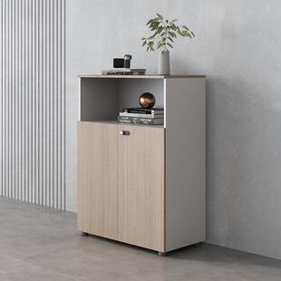 SEL-AG文件柜公资料办柜木质板书柜板老式档案柜室柜子带密码锁储