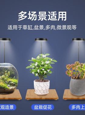鱼缸太灯灯全绿植花卉RZE盆栽补能智台灯光小阳生长多肉彪色植物