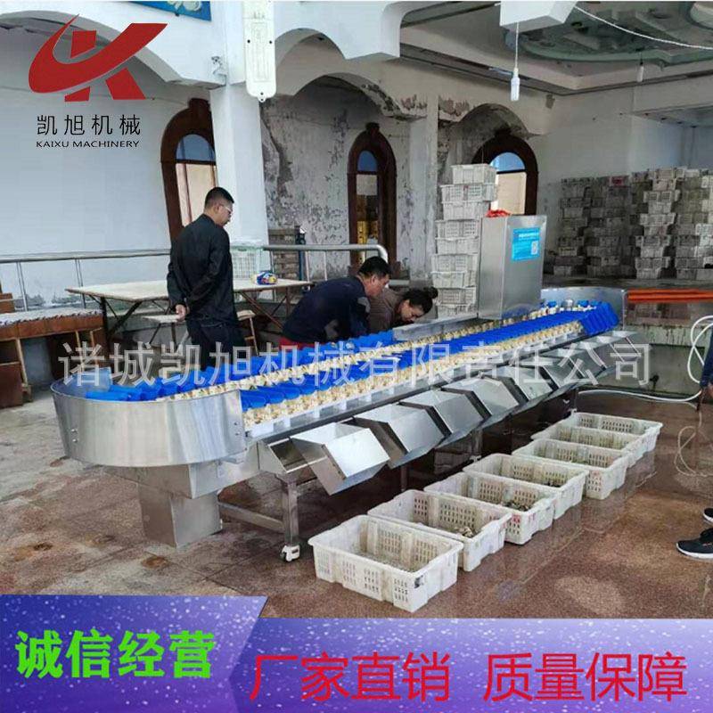 子蟹大闸蟹自动UJQ分拣梭鱿鱼带筒八重量分选机精准分选机效率高