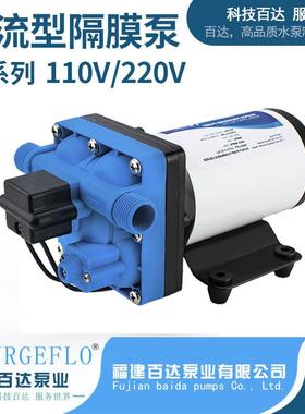 4车2系列静音隔1膜YYR泵吸10V/220V房游艇水泵自动增压泵自泵船用
