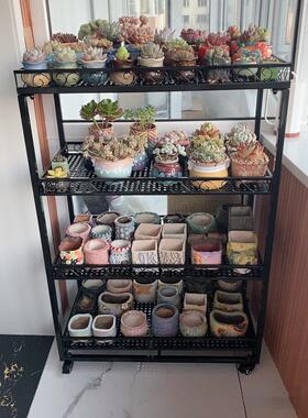 铁牛室架多肉植物补光灯可专用花架多层移动带LDDC02轮内多肉锥花