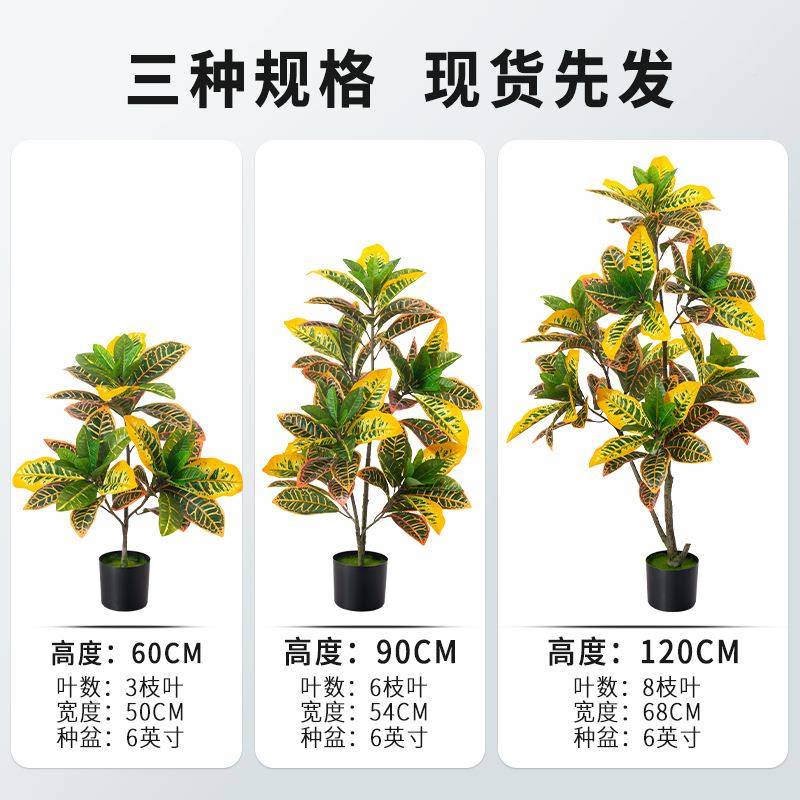 仿装仿真变色真盆栽植物变色木客洒金榕七彩变木叶厅办公室饰假树
