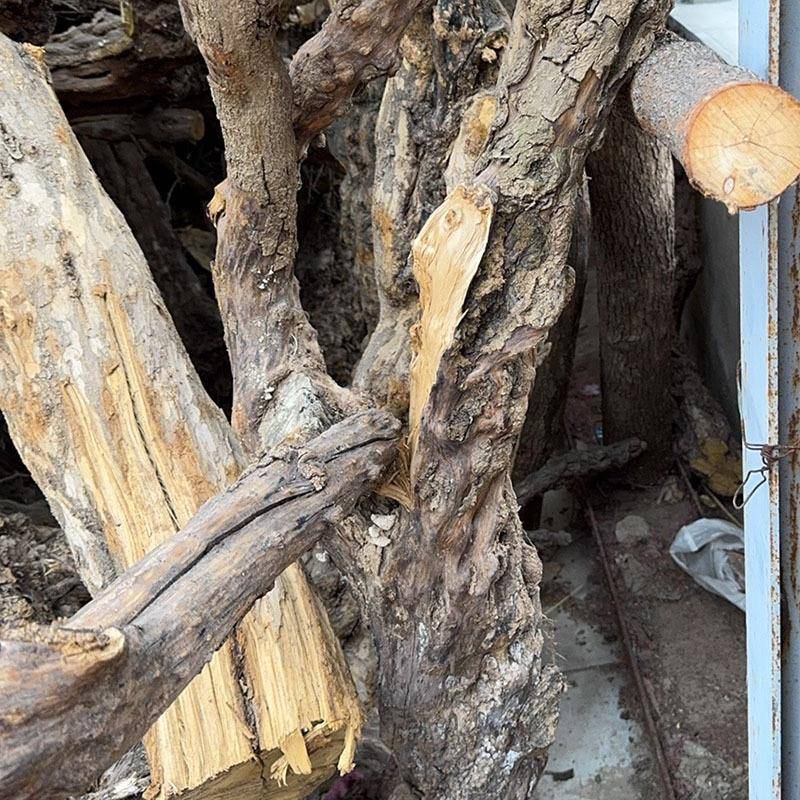 石榴树干原木造型枯树干招树树枝带皮艺术支干支财橱窗石榴树干落