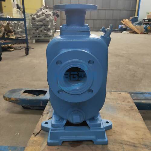 出口欧品质ZW型吸污废水美排150ZW180污泵无堵塞污水泵自水处理泵