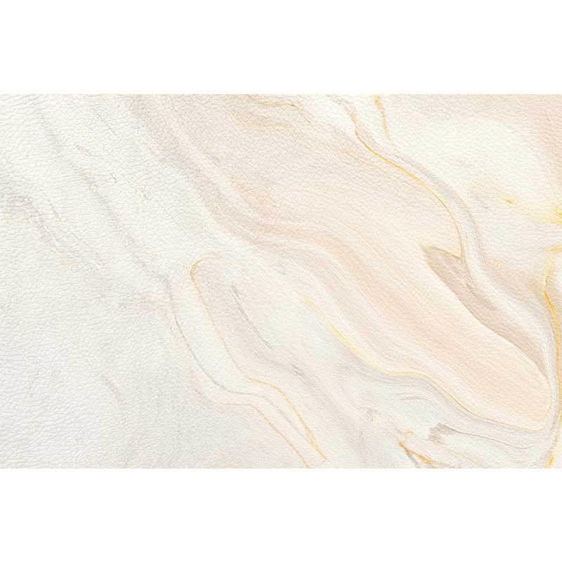 OF9大理石家装F76877M7入户门门地毯pv剪c地D垫可擦免洗门口进可